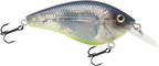 Primetyme CB 1.5