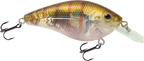 Primetyme CB 1.5