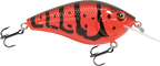 Primetyme CB 1.5