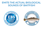 EBS Jigging Spoon