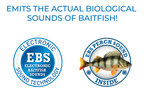 EBS Jigging Spoon
