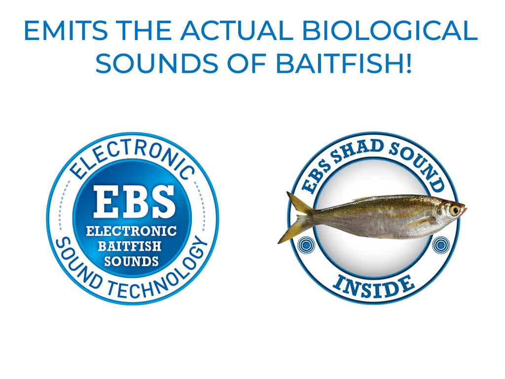 EBS Jigging Spoon