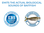 EBS Jigging Spoon