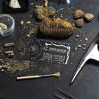 The Pocket Paleontologist - Fossil hunting pocket tool