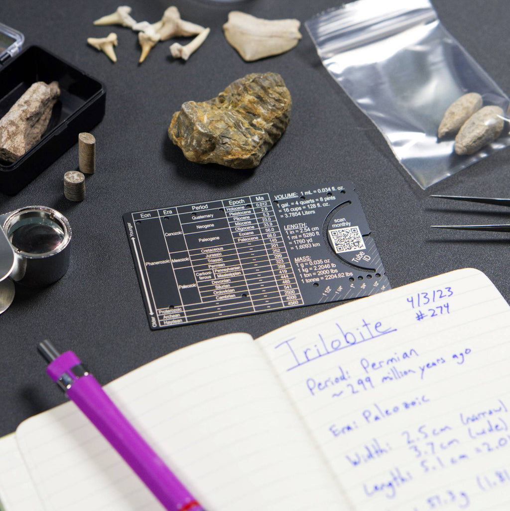 The Pocket Paleontologist - Fossil hunting pocket tool