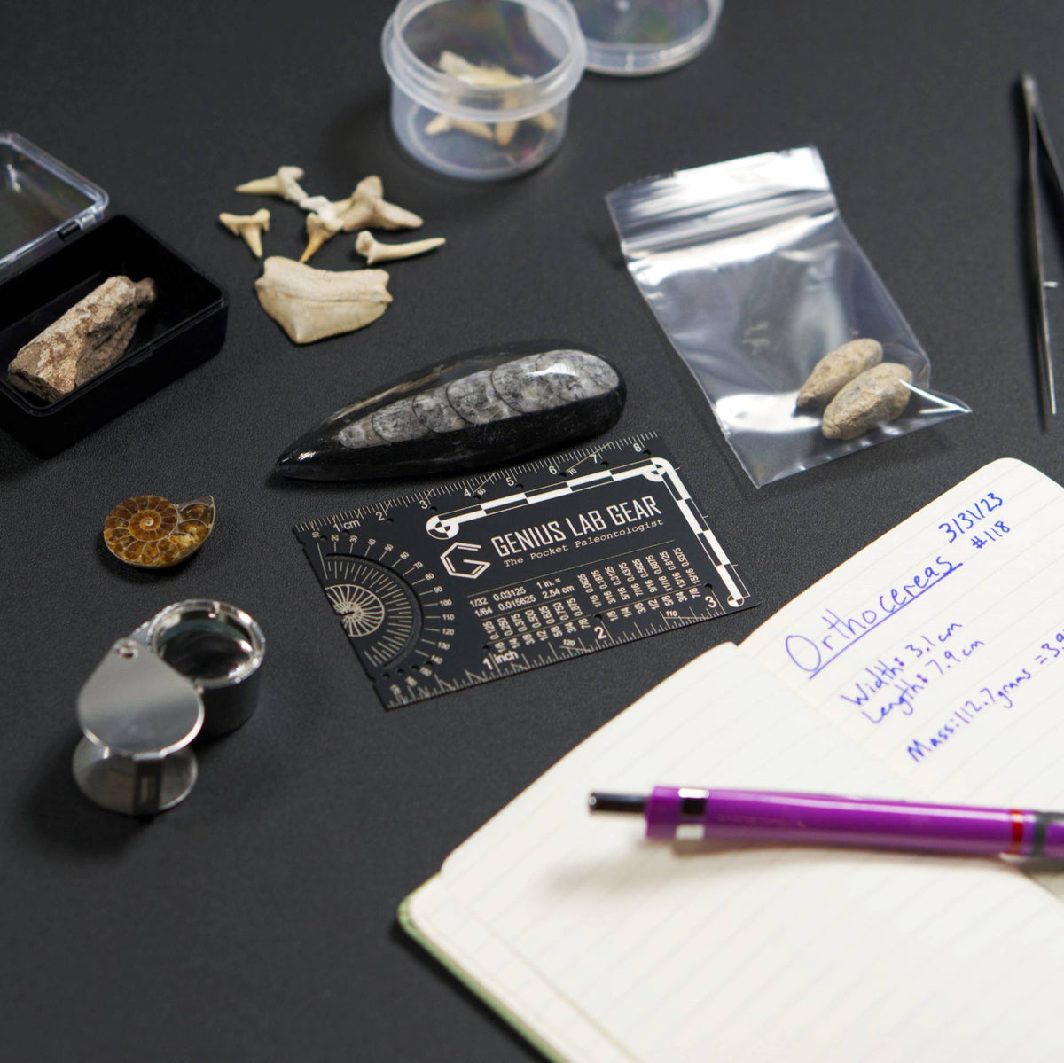 The Pocket Paleontologist - Fossil hunting pocket tool